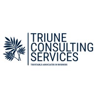 Triune Consulting Services LLC logo - Similar company to Applied Analytics Inc.