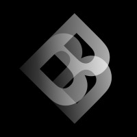 BridgeBright Search and Advisory logo - Similar company to Peak Pharma Solutions