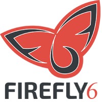 FF6 - FireFly6 logo - Similar company to Gtera Solutions