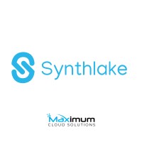 Synthlake logo - Similar company to Intellisurge Technologies
