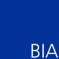 Blue Ink Advisors