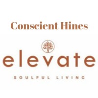 Conscient Hines Elevate logo - Similar company to Conscient Infrastructure