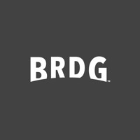BRDG logo - Similar company to Focus Corner