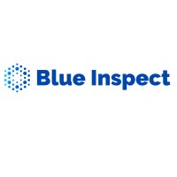 Blue Inspect logo - Similar company to Netpoint Group