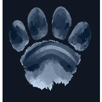 LAION logo - Similar company to Openml