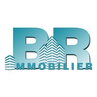 Br Immobilier