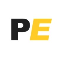 Perpetual Edge logo - Similar company to Whisker Web(Formerly Known As Skynet Webtech)