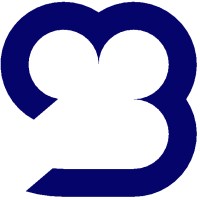 Brigmann logo - Similar company to Alpha Metatek