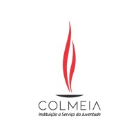 Colmeia Instituição a Serviço da Juventude logo - Similar company to Instituto Abcd