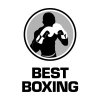 BEST Boxing GmbH logo - Similar company to Prewen Ag