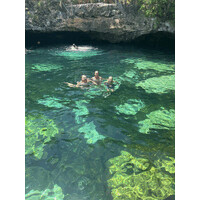 Maui Snorkeling and Scuba logo - Similar company to Maui Snorkeling
