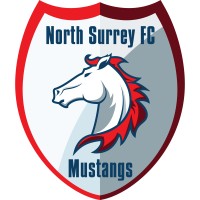 North Surrey Mustangs Football Club logo - Similar company to Yo Bro Yo Girl (Ybyg)-Youth Initiative @Yobroyogirl