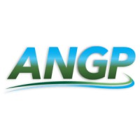 Adsorbed Natural Gas Products, Inc.