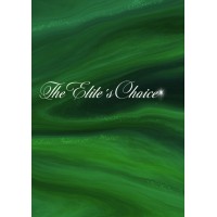The Elite's Choice logo - Similar company to Mina Limited Group