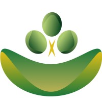 FinNest logo - Similar company to Dynamundo, Llc