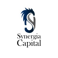 Synergia Capital logo - Similar company to Amura Baby