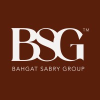 BSG logo - Similar company to Linxpo