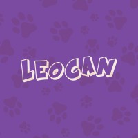 LeoCan logo - Similar company to Nodanlu