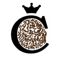 Český lanýž logo - Similar company to Insync