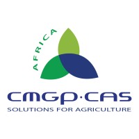 CMGP.CAS AFRICA logo - Similar company to Cmgp Group