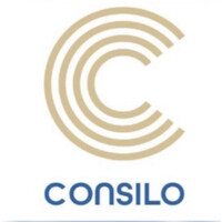 CONSILO WEB logo - Similar company to Consilo