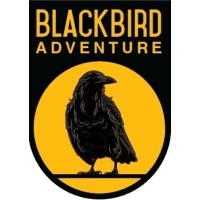 Blackbird Adventure INC. logo - Similar company to York University Internationally Educated Professionals Bridging Programs It & Business
