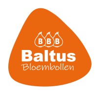 Baltus Bloembollen