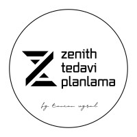 Zenith TPS logo - Similar company to Eclear International Co., Ltd.