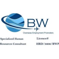 BW Overseas Employment Promoters logo - Similar company to Virtus Solutions