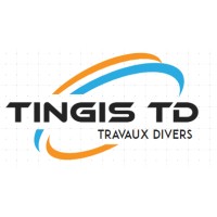 TINGIS TD logo - Similar company to 2Forall