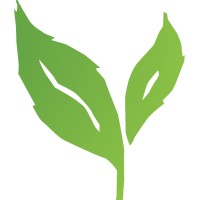 Transition Australia