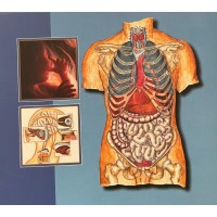 مركز ابن سينا للخدمات والاستشارات الطبية والسياحة العلاجية في المانيا IMS Ibn Sina Medical Services logo - Similar company to Medguide ميدقايد للخدمات الطبية