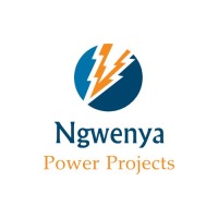 Ngwenya Power logo - Similar company to It Techies