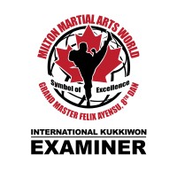 Milton Martial Arts World logo - Similar company to Third Eye Martial Arts