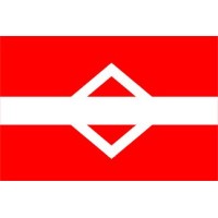 Daiichi Chuo Shipping (America) Inc. logo - Similar company to 第一中央汽船株式会社