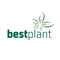 kwekerij bestplant logo - Similar company to Levoplant B.V.