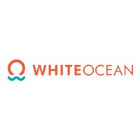 White Ocean Investment Services LLP logo - Similar company to Inxits