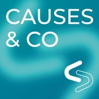CAUSES & CO