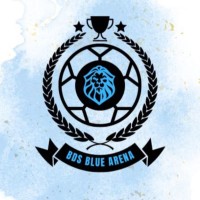 BDS BLUE ARENA logo - Similar company to Datalab