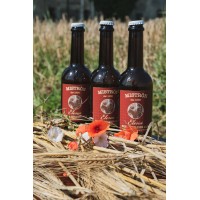 Birra Mistròn logo - Similar company to Small Dog Creative, Llc