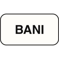 BANI - Web Design & Development logo - Similar company to Evolvspark
