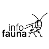 info fauna logo - Similar company to Biotec Biologie Appliquée Sa (Suisse)