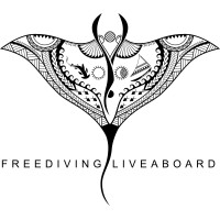 Freediving Liveaboard logo - Similar company to Sublue Tech