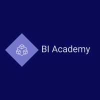 BI Academy logo - Similar company to Pro Visualizers Llp