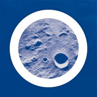 BLUE MOON CC GmbH logo - Similar company to Wild Cat
