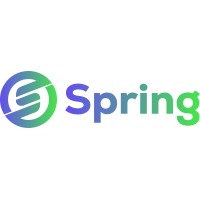 Springstack logo - Similar company to Sprigstack | Software Development Company