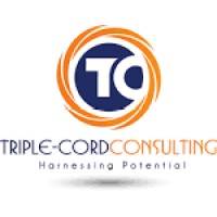 Triple-Cord Consulting logo - Similar company to Ahven Game Studio