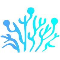 hedgefish logo - Similar company to Traffic Ninjas