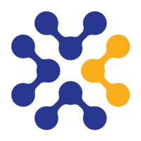 Ray Lyte logo - Similar company to Ray Networks