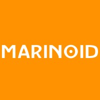 Marinoid logo - Similar company to Spring Today: Your Partner In Change. Interim | Search | Consulting